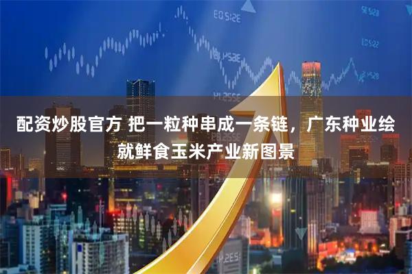 配资炒股官方 把一粒种串成一条链，广东种业绘就鲜食玉米产业新图景
